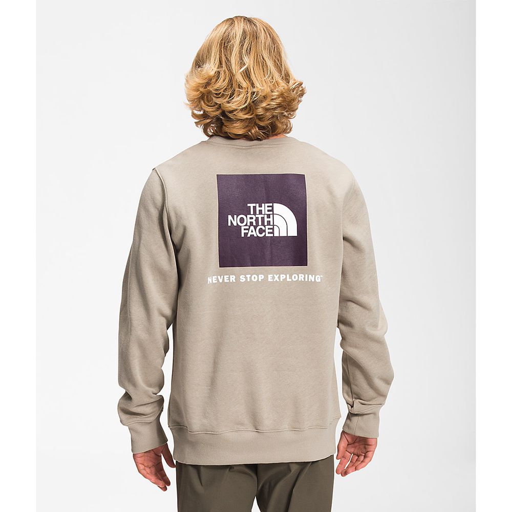 The North Face Sweatshirts Mens Australia - The North Face Box Nse Crew Khaki (XAY-810657)